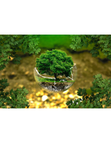 Formation à la magie - élément Terre