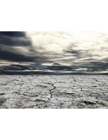 Formation à la magie - élément Terre