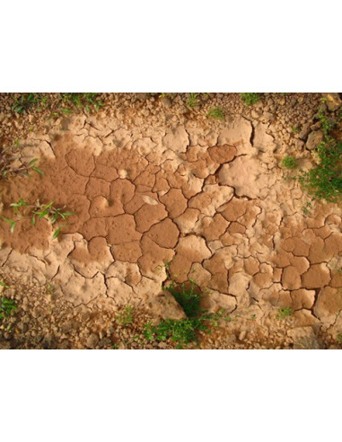 Formation à la magie - élément Terre