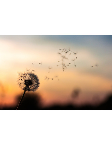 Formation à la magie - élément Air