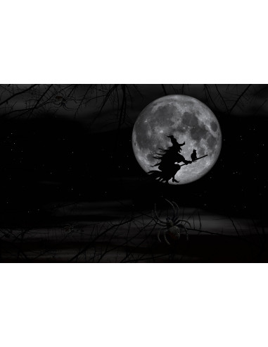 Atelier  1 - La Lune en Magie