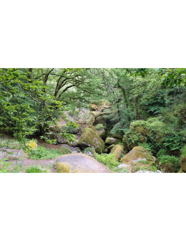 Paiement comptant ou en 3x - 4x