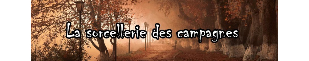 La sorcellerie des campagnes